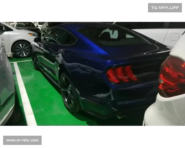 津门马荟引领赛马转播升级 多机位追踪系统首次呈现冲刺肌肉动态